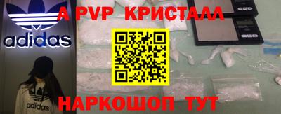 ГАЛЛЮЦИНОГЕННЫЕ ГРИБЫ Кингисепп