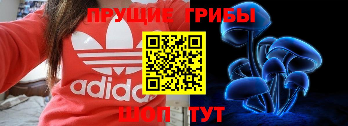 Галлюциногенные грибы GOLDEN TEACHER Корсаков